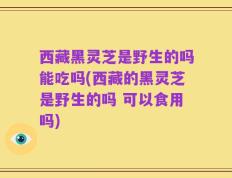 西藏黑灵芝是野生的吗能吃吗(西藏的黑灵芝是野生的吗 可以食用吗)