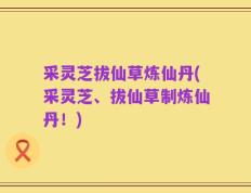 采灵芝拔仙草炼仙丹(采灵芝、拔仙草制炼仙丹！)