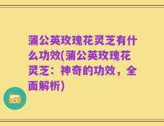 蒲公英玫瑰花灵芝有什么功效(蒲公英玫瑰花灵芝：神奇的功效，全面解析)
