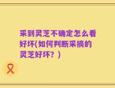 采到灵芝不确定怎么看好坏(如何判断采摘的灵芝好坏？)