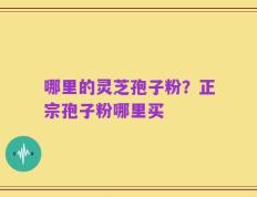 哪里的灵芝孢子粉？正宗孢子粉哪里买