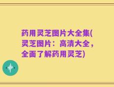药用灵芝图片大全集(灵芝图片：高清大全，全面了解药用灵芝)