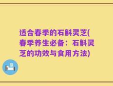适合春季的石斛灵芝(春季养生必备：石斛灵芝的功效与食用方法)