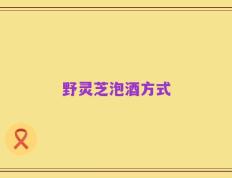 野灵芝泡酒方式