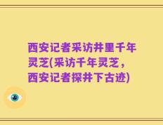 西安记者采访井里千年灵芝(采访千年灵芝，西安记者探井下古迹)