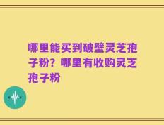 哪里能买到破壁灵芝孢子粉？哪里有收购灵芝孢子粉