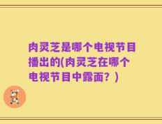 肉灵芝是哪个电视节目播出的(肉灵芝在哪个电视节目中露面？)
