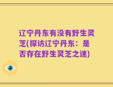 辽宁丹东有没有野生灵芝(探访辽宁丹东：是否存在野生灵芝之迷)