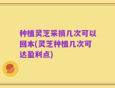 种植灵芝采摘几次可以回本(灵芝种植几次可达盈利点)