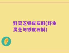 野灵芝铁皮石斛(野生灵芝与铁皮石斛)