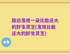 路边发现一朵比脸还大的野生灵芝(发现比脸还大的野生灵芝)