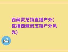 西藏灵芝镇直播户外(直播西藏灵芝镇户外风光)