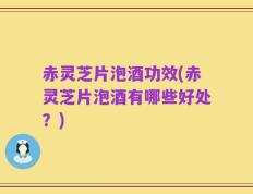 赤灵芝片泡酒功效(赤灵芝片泡酒有哪些好处？)