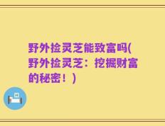 野外捡灵芝能致富吗(野外捡灵芝：挖掘财富的秘密！)