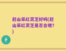赶山采红灵芝好吗(赶山采红灵芝是否合理？)