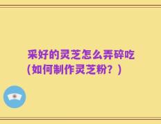 采好的灵芝怎么弄碎吃(如何制作灵芝粉？)