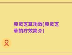 蔸灵芝草功效(蔸灵芝草的疗效简介)