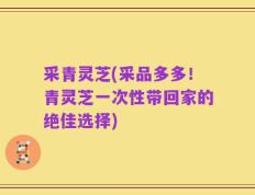采青灵芝(采品多多！青灵芝一次性带回家的绝佳选择)