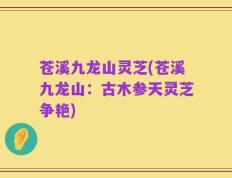 苍溪九龙山灵芝(苍溪九龙山：古木参天灵芝争艳)