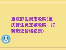 重庆野生灵芝收购(重庆野生灵芝被收购，打破历史价格纪录)