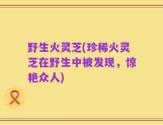 野生火灵芝(珍稀火灵芝在野生中被发现，惊艳众人)
