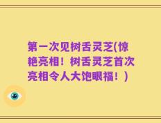 第一次见树舌灵芝(惊艳亮相！树舌灵芝首次亮相令人大饱眼福！)