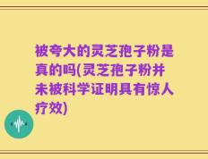 被夸大的灵芝孢子粉是真的吗(灵芝孢子粉并未被科学证明具有惊人疗效)