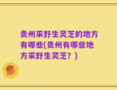 贵州采野生灵芝的地方有哪些(贵州有哪些地方采野生灵芝？)