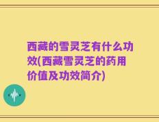 西藏的雪灵芝有什么功效(西藏雪灵芝的药用价值及功效简介)