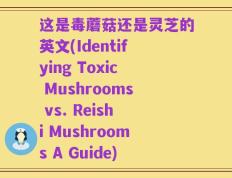 这是毒蘑菇还是灵芝的英文(Identifying Toxic Mushrooms vs. Reishi Mushrooms A Guide)