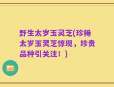 野生太岁玉灵芝(珍稀太岁玉灵芝惊现，珍贵品种引关注！)