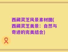 西藏灵芝风景素材图(西藏灵芝美景：自然与奇迹的完美结合)