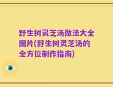 野生树灵芝汤做法大全图片(野生树灵芝汤的全方位制作指南)