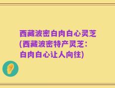 西藏波密白肉白心灵芝(西藏波密特产灵芝：白肉白心让人向往)