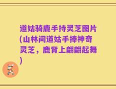 道姑骑鹿手持灵芝图片(山林间道姑手捧神奇灵芝，鹿背上翩翩起舞)