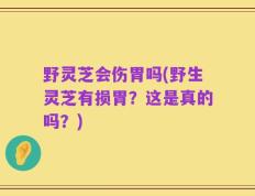 野灵芝会伤胃吗(野生灵芝有损胃？这是真的吗？)