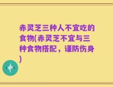 赤灵芝三种人不宜吃的食物(赤灵芝不宜与三种食物搭配，谨防伤身)