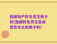 西藏特产野生灵芝袍子粉(西藏野生灵芝变成营养无比的袍子粉)