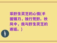 采野生灵芝的心情(手握镰刀，独行荒野。秋风中，我与野生灵芝的邂逅。)