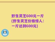 野生灵芝600元一斤(野生灵芝价格惊人：一斤达到600元)