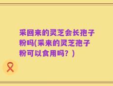 采回来的灵芝会长孢子粉吗(采来的灵芝孢子粉可以食用吗？)