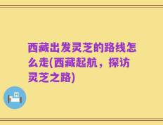西藏出发灵芝的路线怎么走(西藏起航，探访灵芝之路)