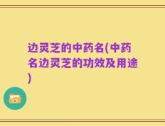 边灵芝的中药名(中药名边灵芝的功效及用途)