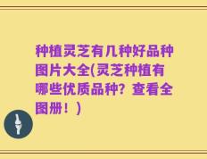 种植灵芝有几种好品种图片大全(灵芝种植有哪些优质品种？查看全图册！)