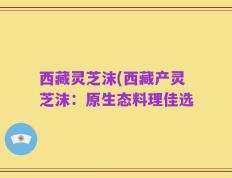 西藏灵芝沫(西藏产灵芝沫：原生态料理佳选