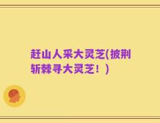 赶山人采大灵芝(披荆斩棘寻大灵芝！)