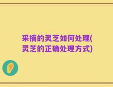 采摘的灵芝如何处理(灵芝的正确处理方式)