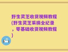 野生灵芝收货视频教程(野生灵芝采摘全纪录，零基础收货视频教程)