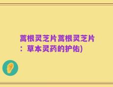 蒿根灵芝片蒿根灵芝片：草本灵药的护佑)
