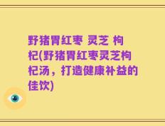 野猪胃红枣 灵芝 枸杞(野猪胃红枣灵芝枸杞汤，打造健康补益的佳饮)
